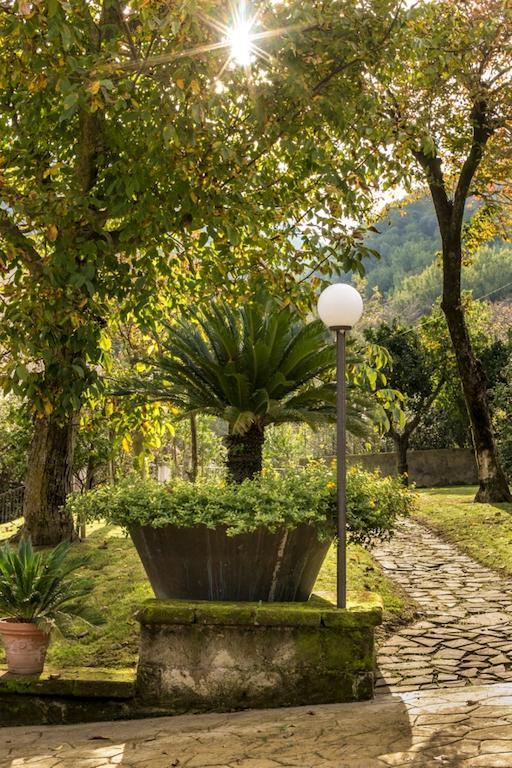 Casale Le Noci Διαμέρισμα Vico Equense Εξωτερικό φωτογραφία